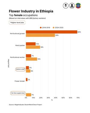 Flower Industry Ethiopia - Female