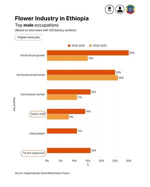 Flower Industry Ethiopia - Male