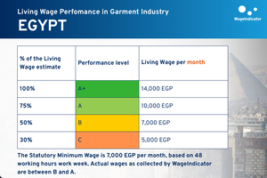 Table of Living Wage Performance in Garment Industry in Egypt