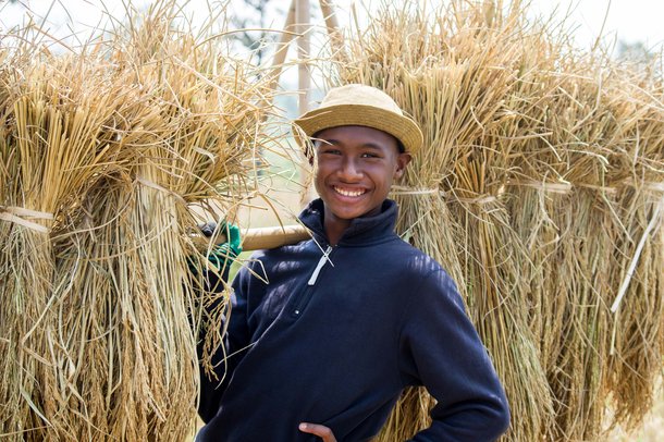 wageindicator_330669017